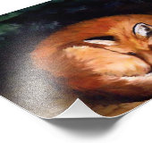 スリーピーレッドキツネフォトプリント フォトプリント            (角)