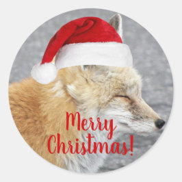 スリーピーレッドキツネ着用レッドサンタハットホリデー ラウンドシール