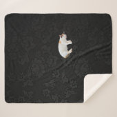 スリーピー子猫 シェルパブランケット (正面(横))