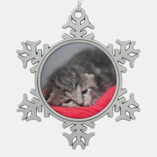 スリーピー子猫 スノーフレークピューターオーナメント (正面)