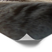 スリーピー子猫 ポスター (角)