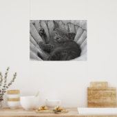 スリーピー子猫 ポスター (キッチン)