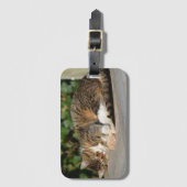 スリーピー子猫 ラゲッジタグ (正面縦)