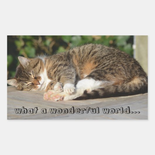 スリーピー子猫 長方形シール (正面)