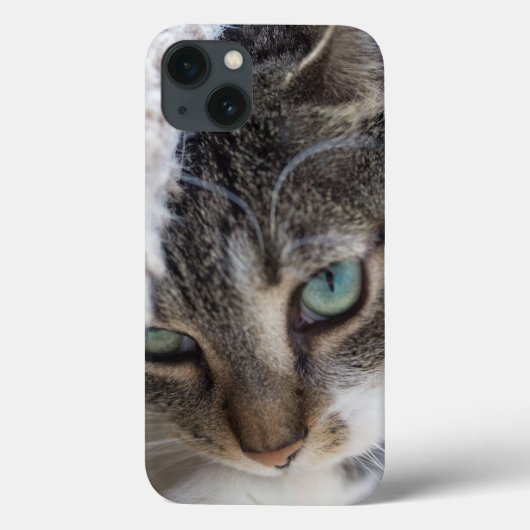 スリーピー子猫 Case-Mate iPhoneケース (裏面)