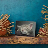 スリーピー・キッテン フォトプラーク (側面)