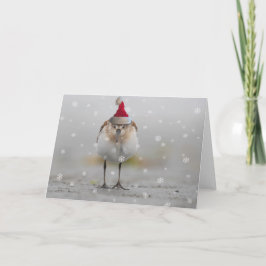 スリーピー・サンドパイパーのクリスマス カード