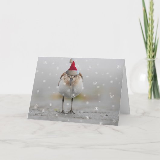 スリーピー・サンドパイパーのクリスマス カード (正面)