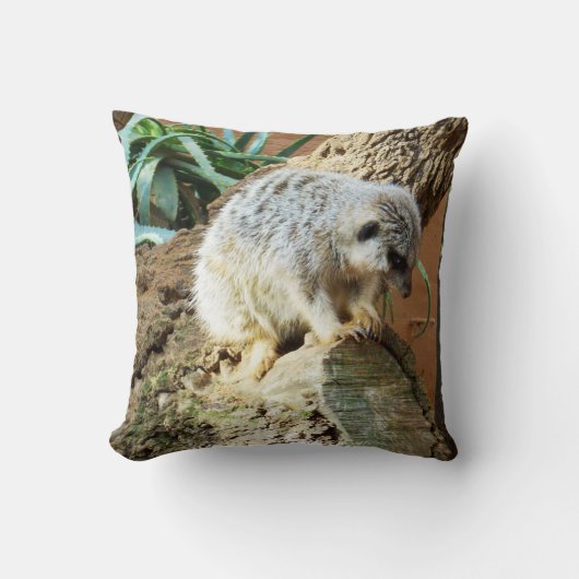 スリーピー・メルカット クッション (正面)