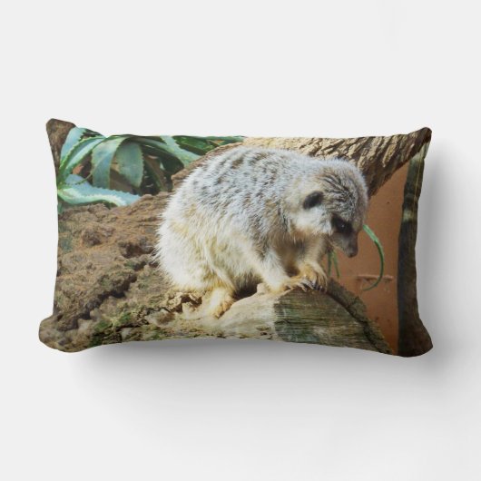 スリーピー・メルカット ランバークッション (正面)