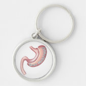 スリーブを付けられたKeychainを得ます キーホルダー (正面)