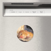 スリープタイトスイーツ子猫 マグネット (インサイチュ (食洗機))