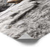 スリープベアオンログキャビン素朴 ポスター (角)