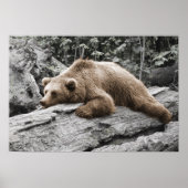 スリープベアオンログキャビン素朴 ポスター (正面)