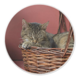 スリープ子猫セラミックノブ セラミックノブ