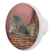 スリープ子猫セラミックノブ セラミックノブ (右)