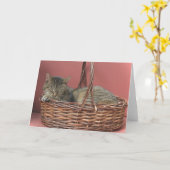 スリープ子猫ノートカード カード (黄色い花)