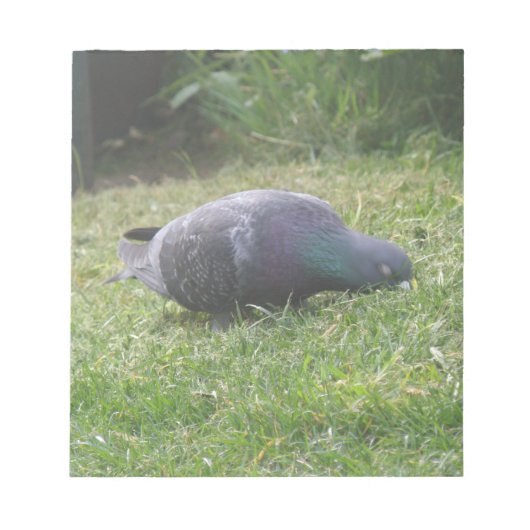 スリープ状態の鳩メモ帳 ノートパッド (正面)