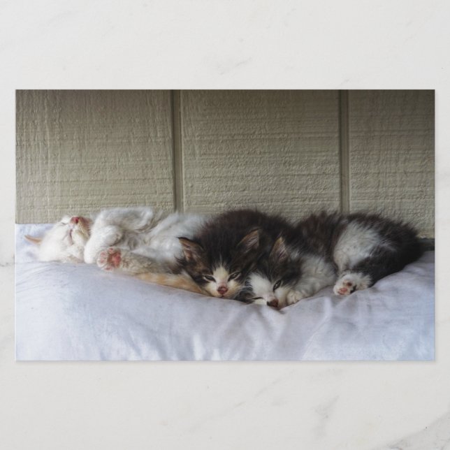 スリープ美しい (正面)