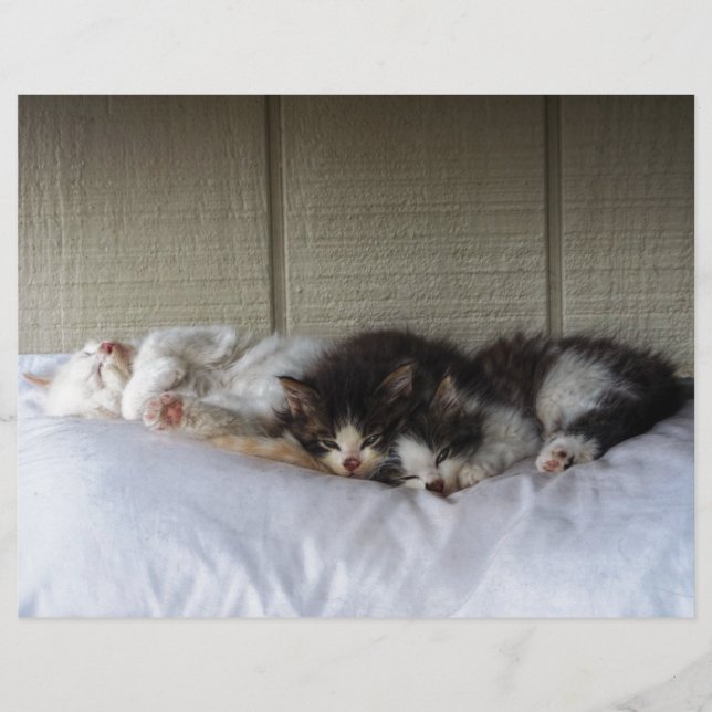 スリープ美しい (正面)