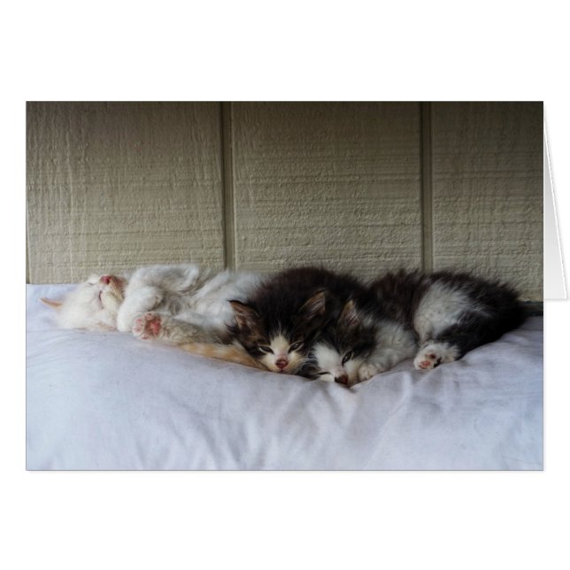 スリープ美しい (正面横)