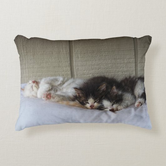 スリープ美しい アクセントクッション (正面)