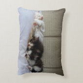 スリープ美しい アクセントクッション (裏面(縦))