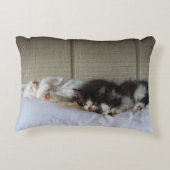 スリープ美しい アクセントクッション (裏面)