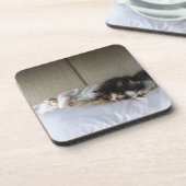 スリープ美しい コースター (左側)