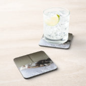 スリープ美しい コースター (右側)