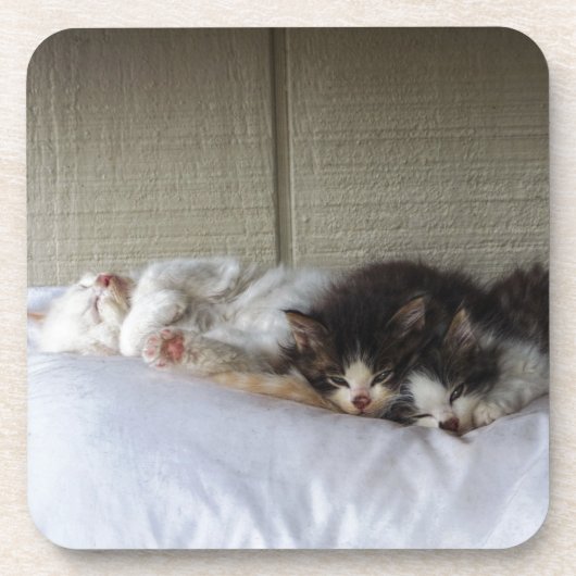 スリープ美しい コースター (正面)