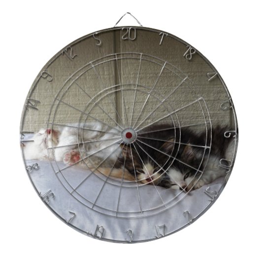 スリープ美しい ダーツボード (正面)