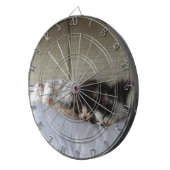 スリープ美しい ダーツボード (正面右)