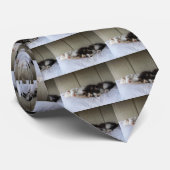 スリープ美しい ネクタイ (ロール)