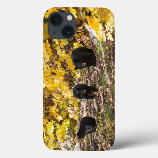 スリーベアーズ Case-Mate iPhoneケース (裏面)