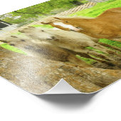 スリーポニーズホースファームフォトプリント フォトプリント            (角)