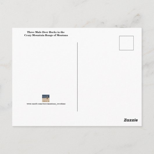 スリーマールディアバックス ポストカード (裏面)