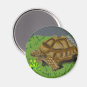 スルカタガメ マグネット (正面/裏面)