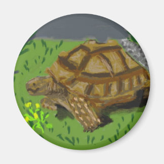 スルカタガメ マグネット