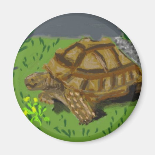 スルカタガメ マグネット (正面)