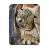 スルカタ亀顔クローズアップ マグネット (縦)