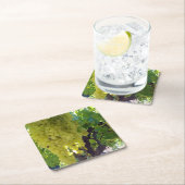 スルタナ葡萄を葡萄のつる植物に スクエアペーパーコースター (インサイチュ)