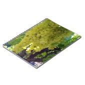 スルタナ葡萄を葡萄のつる植物に ノートブック (左側)