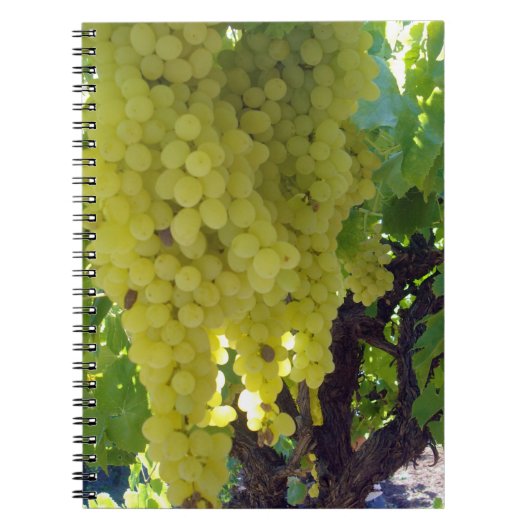 スルタナ葡萄を葡萄のつる植物に ノートブック (正面)
