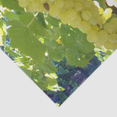 スルタナ葡萄を葡萄のつる植物に 薄葉紙 (詳細)