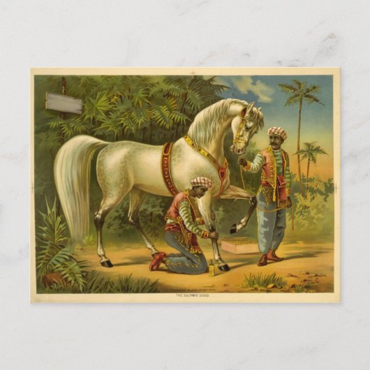 スルタンの2012年カレンダーはがき ポストカード (正面)