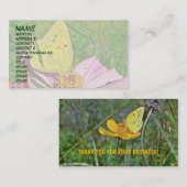 スルファーバタフライ 名刺 (正面/裏面)