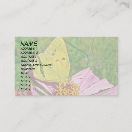 スルファーバタフライ 名刺 (正面)