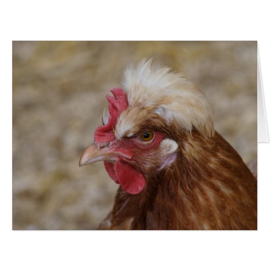 スルマラー・ヘン (正面横)