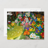 スルモナ葉書 ポストカード (正面/裏面)